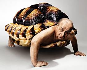Фото Черепахи человек черепаха Юмор