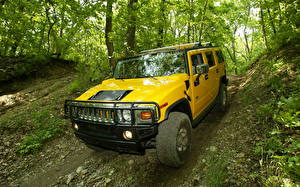 Wallpapers Hummer  Cars
