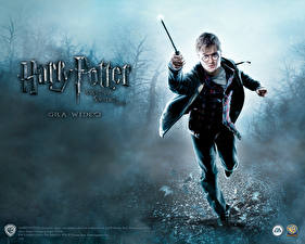 Sfondi desktop Harry Potter - Games  Videogiochi