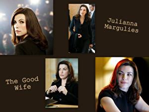 Picture The Good Wife (TV series)
