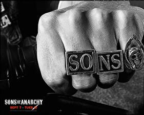 Bakgrundsbilder på skrivbordet Sons of Anarchy