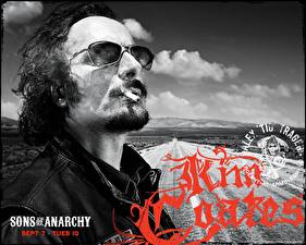 Image Sons of Anarchy Movies