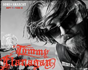 Wallpaper Sons of Anarchy