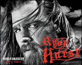 Wallpapers Sons of Anarchy
