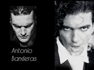 Papel de Parede Desktop Antonio Banderas