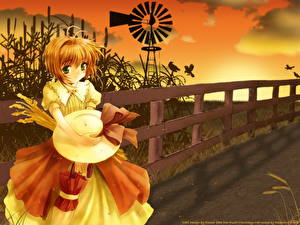 Hintergrundbilder Card Captor Sakura