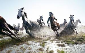 Фотография Кентавры бежит рядом с кобылами