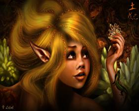 Fonds d'écran Elfes Terra by lilok lilok Fantasy Filles