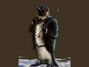Bakgrundsbilder på skrivbordet Pingvin  Humor