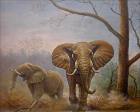 Bakgrunnsbilder Elefanter  Dyr