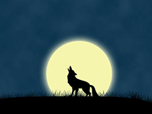 Images Wolf Silhouette Moon  3D Graphics