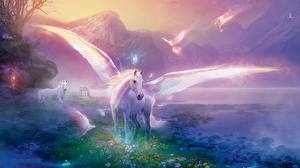 Bakgrunnsbilder Magiske dyr Pegasus Fantasy