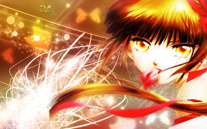 Bakgrundsbilder på skrivbordet Vampire Princess Miyu Anime