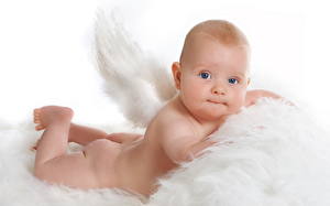 Bilder Säugling Flügel Blick  Kinder
