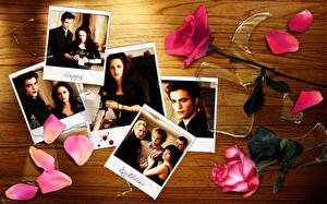 Bakgrundsbilder på skrivbordet The Twilight Saga The Twilight Saga: New Moon  Filmer