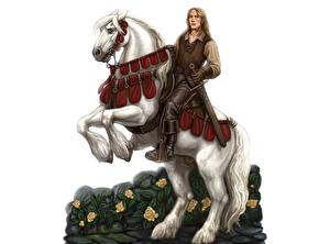 Фотографии Воины Лошадь принц на белом коне Фэнтези