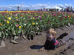 Tapety na pulpit Tulipan Pole rolnicze Chłopiec Błoto  Dzieci