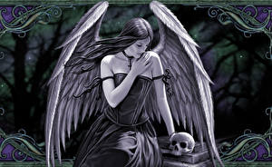 Images Anne Stokes
