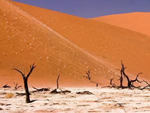 Bureaubladachtergronden Woestijn Namibia