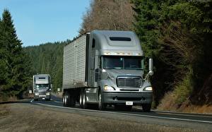Картинка Грузовики Freightliner Trucks с прицепом на дороге авто