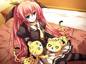 Картинки Akatsuki no Goei девушка с леопардовыми кошками