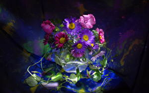 桌面壁纸，，紫苑，花卉