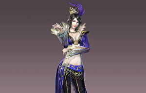 Photo Dynasty Warriors vdeo game