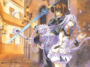 Bureaubladachtergronden Chrome Shelled Regios