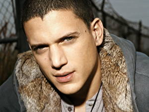 Tapety na pulpit Wentworth Miller Celebryci