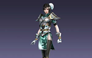 Hintergrundbilder Dynasty Warriors computerspiel