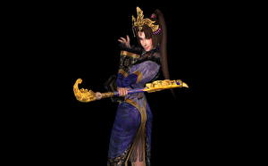 Bakgrundsbilder på skrivbordet Dynasty Warriors Datorspel