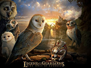 Bureaubladachtergronden Legend of the Guardians: The Owls of Ga'Hoole