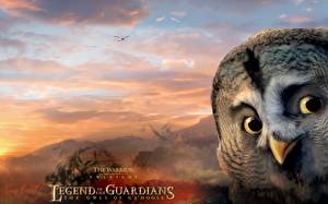 Bakgrunnsbilder Legend of the Guardians: The Owls of Ga’Hoole