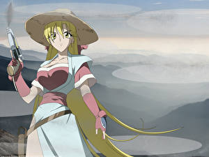 Desktop hintergrundbilder Grenadier the smiling warrior Anime