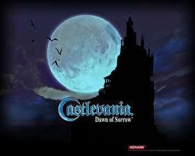 Bakgrundsbilder på skrivbordet Castlevania Castlevania: Dawn of Sorrow dataspel