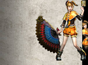 Bakgrundsbilder på skrivbordet Dynasty Warriors spel