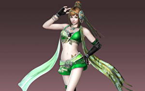 Photo Dynasty Warriors Games