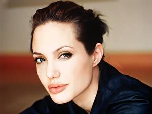 Desktop hintergrundbilder Angelina Jolie Prominente