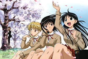 Tapety na pulpit School Rumble