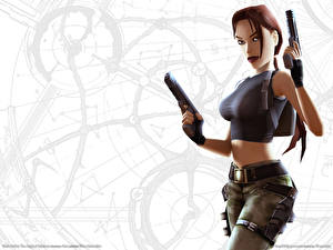 デスクトップの壁紙、、トゥームレイダー、Tomb Raider The Angel of Darkness、
