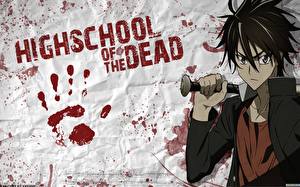 桌面壁纸，，Gakuen Mokushiroku: High School of the Dead，