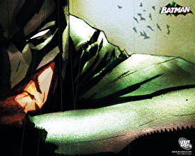 Фотографии Герои комиксов Бэтмен герой