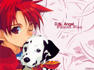 Bakgrunnsbilder D.N.Angel Anime