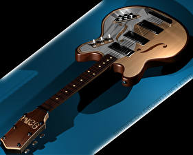 Photo Musical Instruments Guitar
