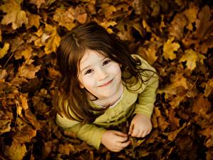 デスクトップの壁紙、、小さな女の子、木の葉、凝視、微笑み、カエデ、子供