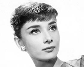 Fonds d'écran Audrey Hepburn
