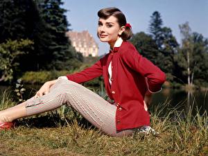 Bureaubladachtergronden Audrey Hepburn