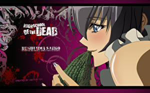 Hintergrundbilder Gakuen Mokushiroku: High School of the Dead Anime