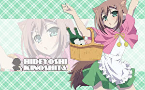 Bakgrundsbilder på skrivbordet Baka to Test to Shoukanjuu Anime
