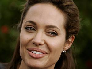 Bureaubladachtergronden Angelina Jolie